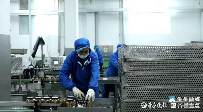 岱岳区范镇 上下联动，打造肉制品产业链融合发展新局面